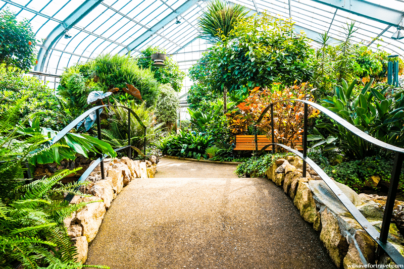 Thunder Bay Botanical Conservatory