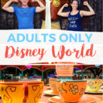 Adults Only Disney World Trip Tips