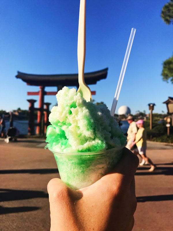 shaved ice from Japan epcot