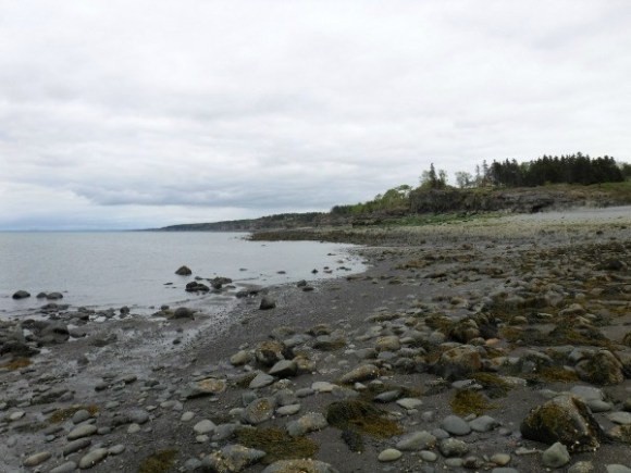 Black Rock Beach Nova Scotia