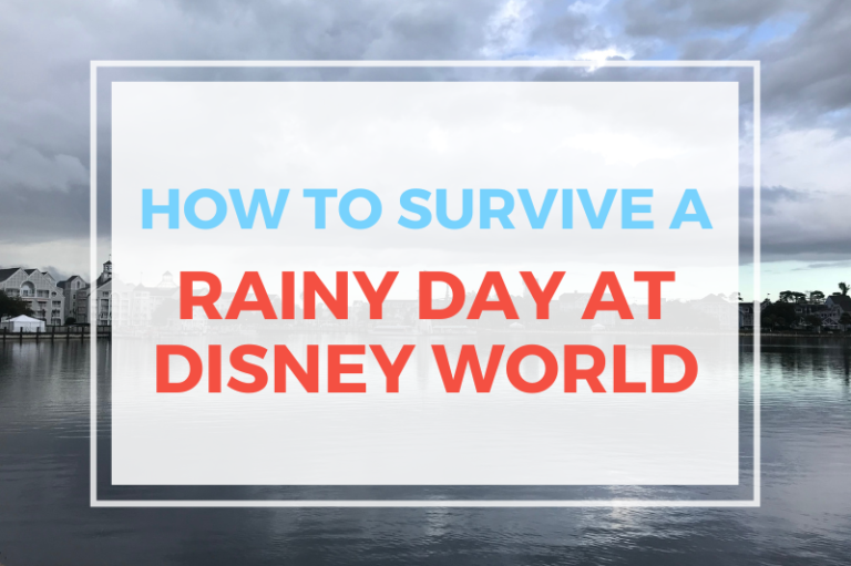 How To Survive Rainy Day At Disney World
