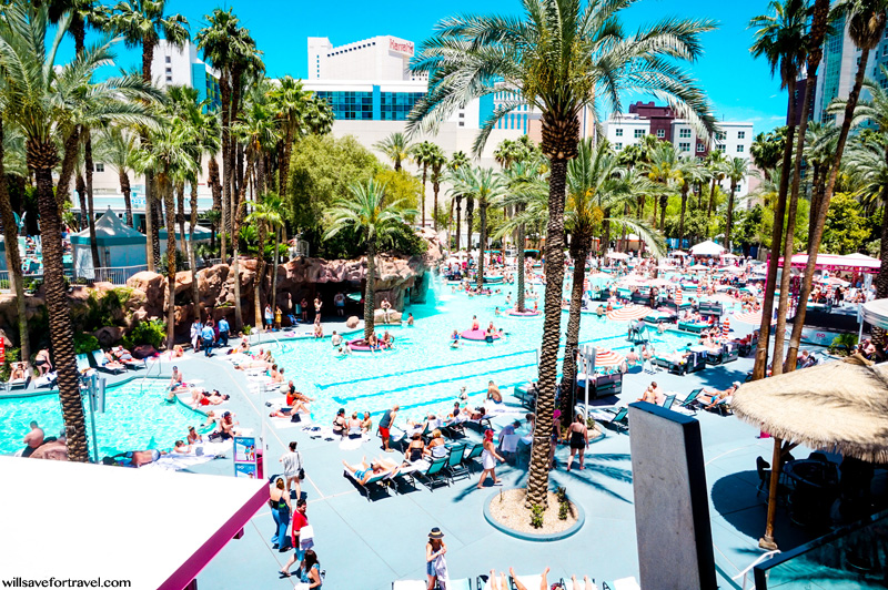 Flamingo Hotel Pool in Las Vegas