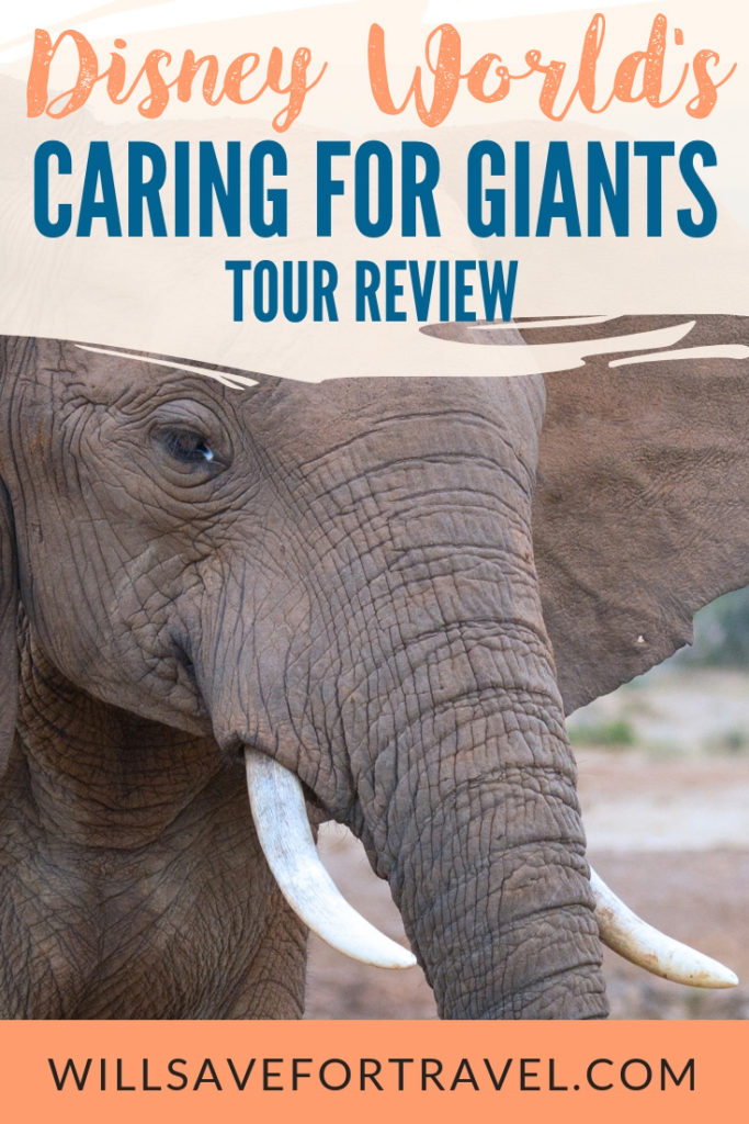 #DisneyWorld Caring For Giants Tour Review