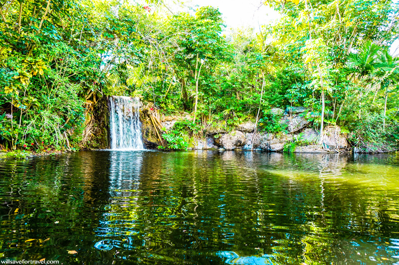 waterfall at Garden of the Groves on Grand Bahama Island