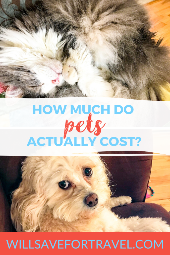 how much do pets cost?