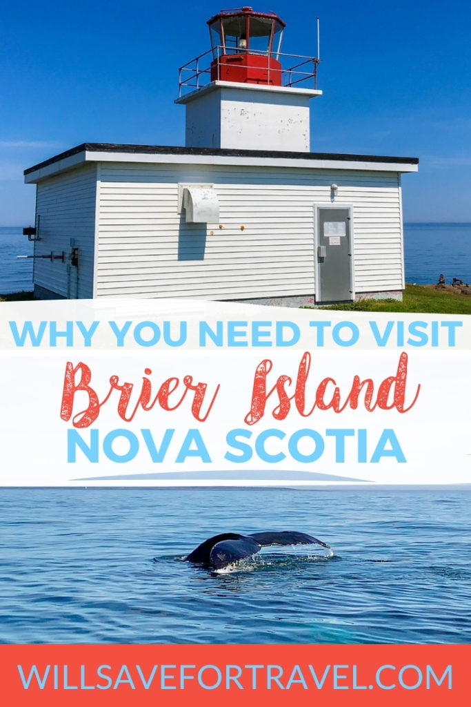 Why You Need To Visit Brier Island