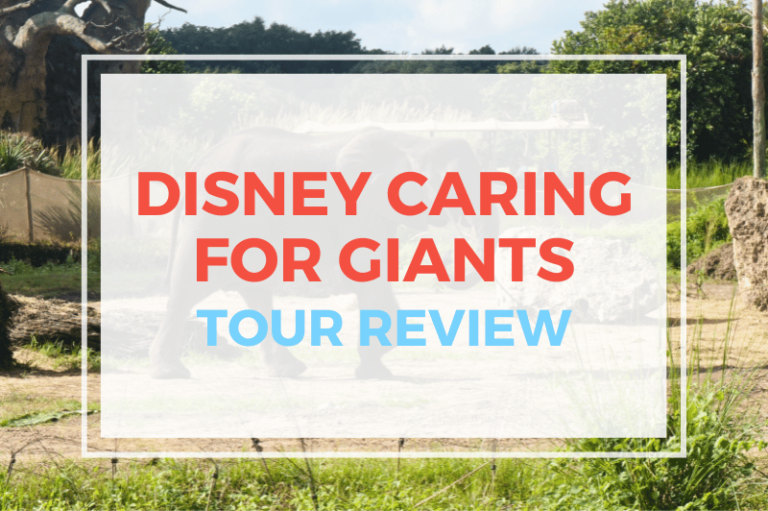 Disney’s Caring For Giants Tour Review