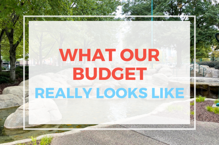 What Our Budget REALLY Looks Like