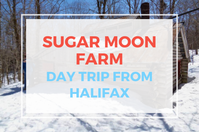 Sugar Moon Farm – Day Trip From Halifax